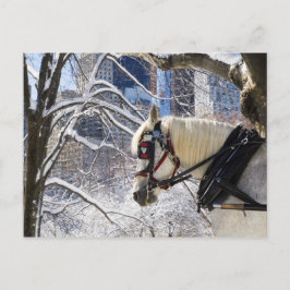 Postal Snowley Winter Carriage Horse en Central Park