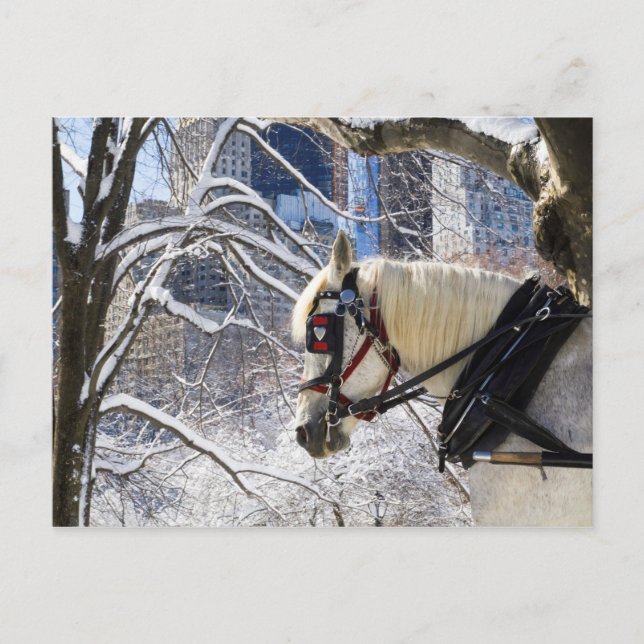 Postal Snowley Winter Carriage Horse en Central Park (Anverso)