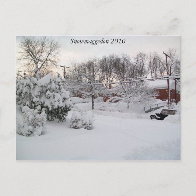 Postal Snowmaggedon 2010 (Anverso)