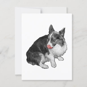 Postal Snowmail: Quick Lick Hello