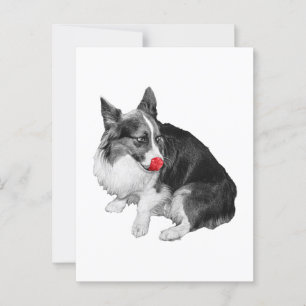 Postal Snowmail: Quick Lick Hello