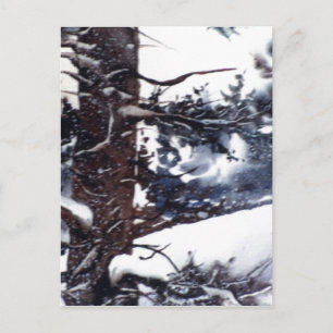 Postal "Snowowley Pine #2"