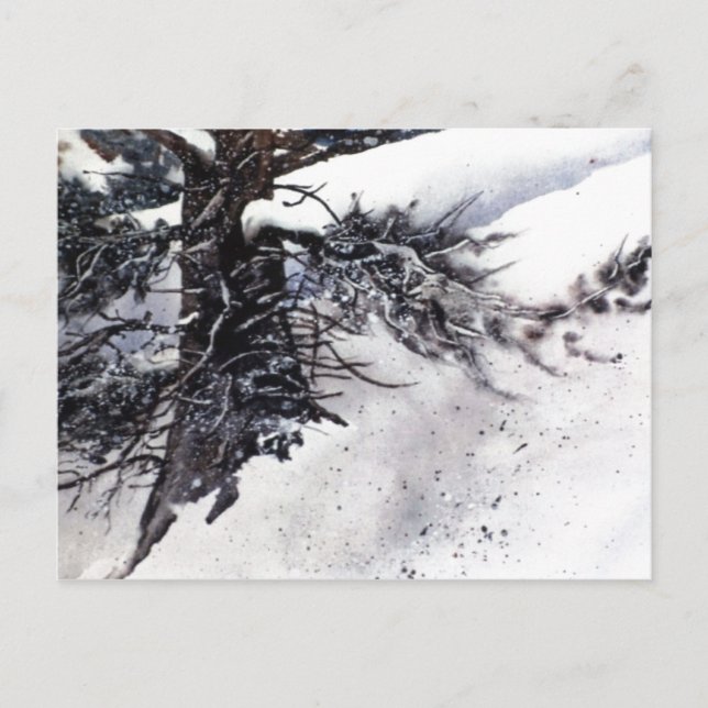 Postal "Snowowley Pine #3" (Anverso)