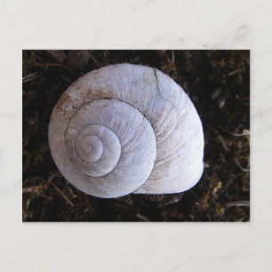 Postal Snowshell de Guay