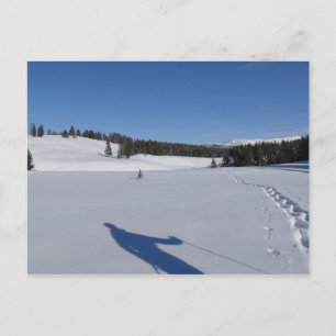 Postal Snowshoeing en el Parque Nacional Yellowstone