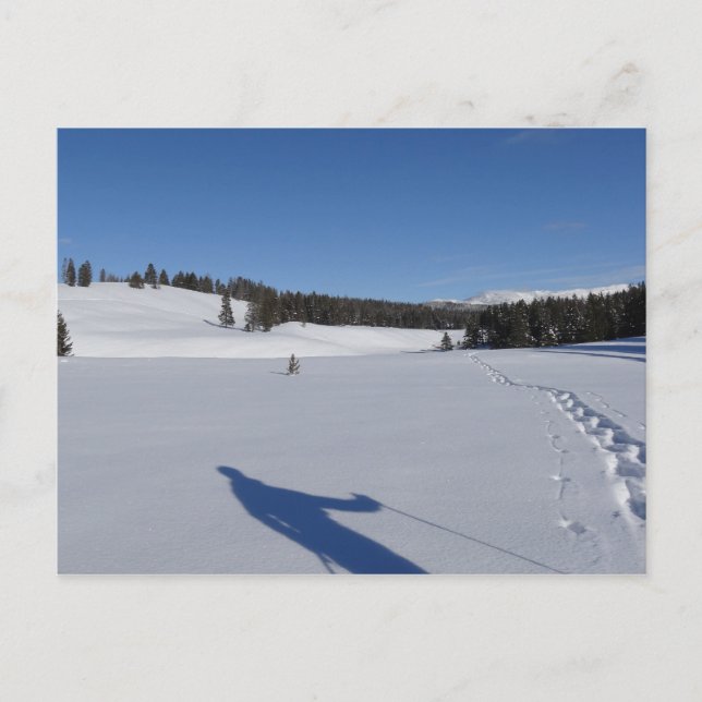 Postal Snowshoeing en el Parque Nacional Yellowstone (Anverso)