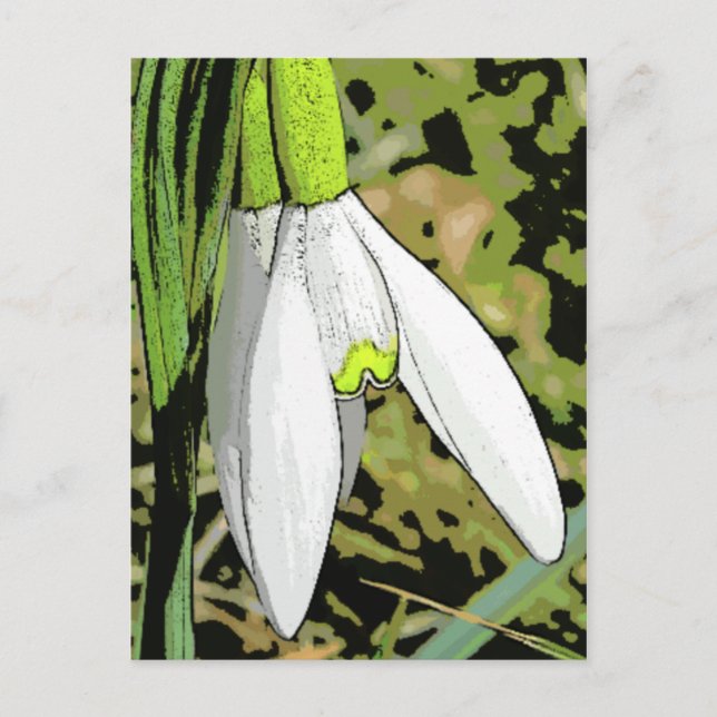 Postal Snowtoons (Anverso)