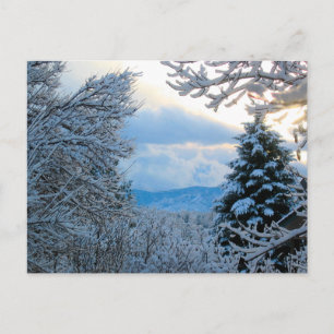 Postal Snowy Colorado