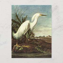 Postal Snowy Egret, John James Audubon