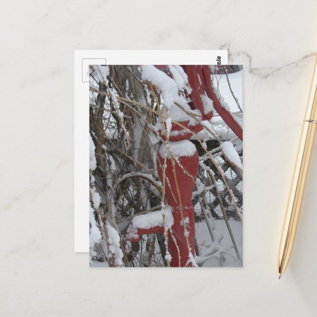 Postal Snowy garden scene (Anverso/Reverso In Situ)