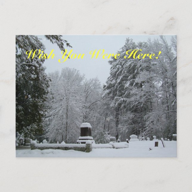 Postal Snowy Graveyard (Anverso)