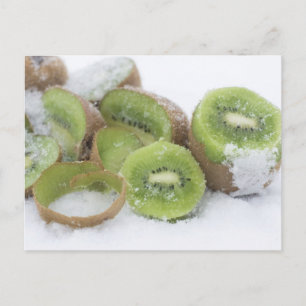 Postal Snowy Kiwi