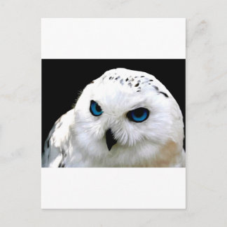 Postal Snowy Owl