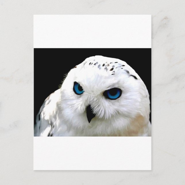 Postal Snowy Owl (Anverso)