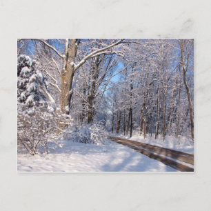 Postal Snowy Rural Michigan