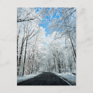 Postal Snowy Winter Road Scene
