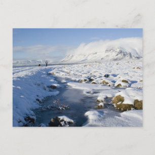 Postal Snowy Winterland