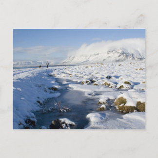 Postal Snowy Winterland