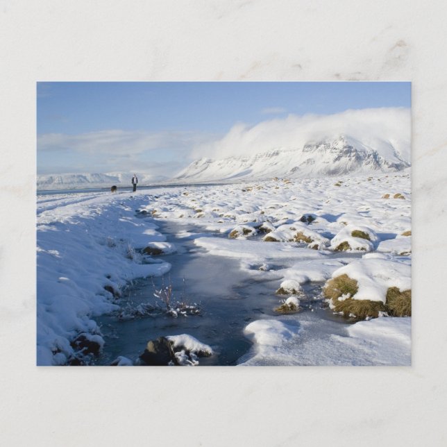 Postal Snowy Winterland (Anverso)