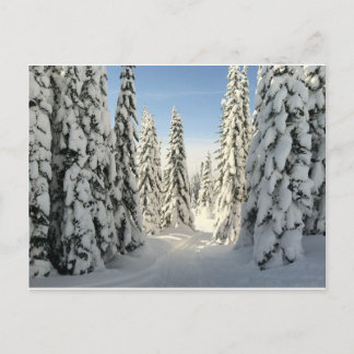 Postal Snowy Wonderland