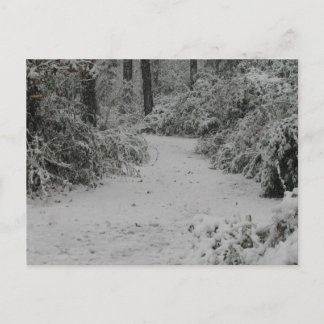 Postal Snowy Woods