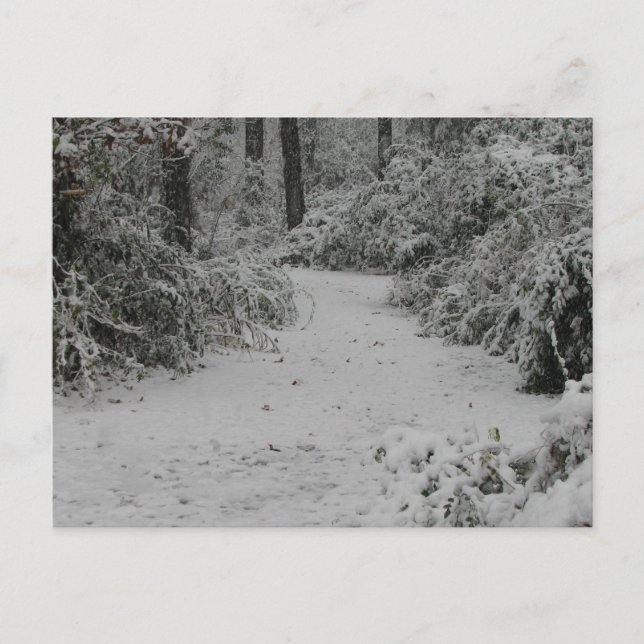 Postal Snowy Woods (Anverso)