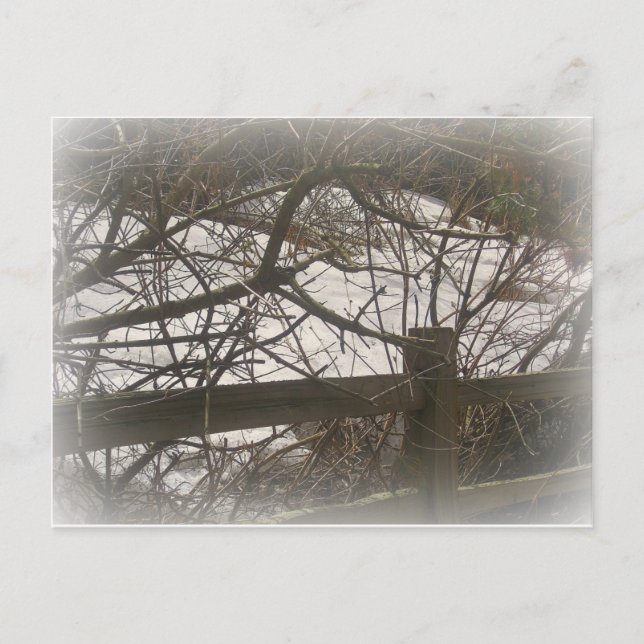 Postal Snowy Woods (Anverso)