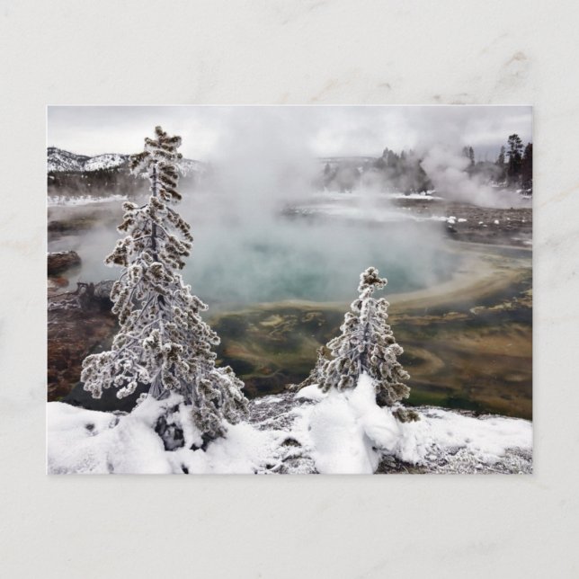 Postal Snowy Yellowstone (Anverso)