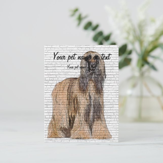 Postal So Beautiful, Afghan Hound Dog (Anverso de pie)