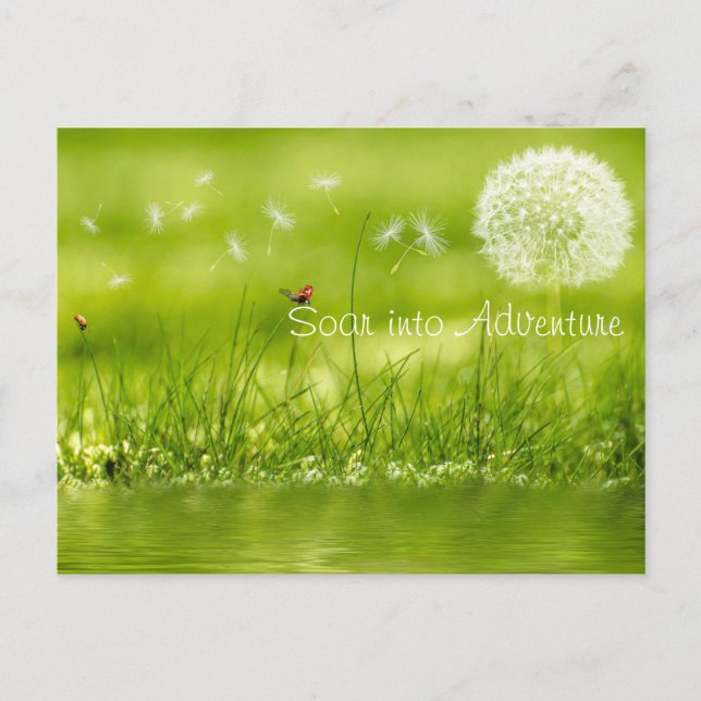 Postal Soar en la aventura (Anverso)