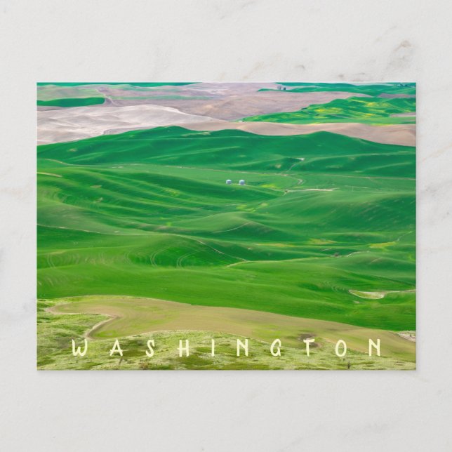 Postal Sobre la pijeta verde de Steptoe Butte (Anverso)