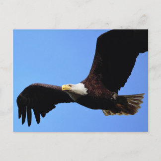 Postal Sobre las alas del águila