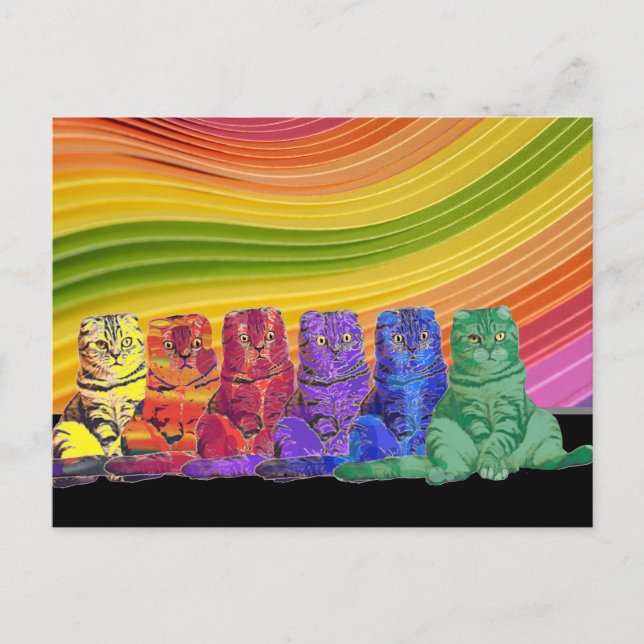 Postal Sobre los gatos arcoiris (Anverso)
