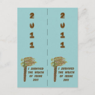 Postal Sobreviví a los marcadores de Irene