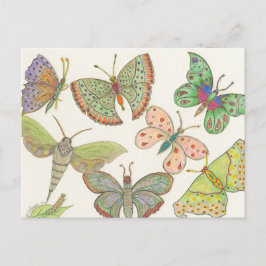 Postal Sobrevivientes Serie Hub #4 Mariposas