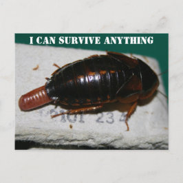 Postal Sobrevivir a todo, cucaracha con boleto de huevo