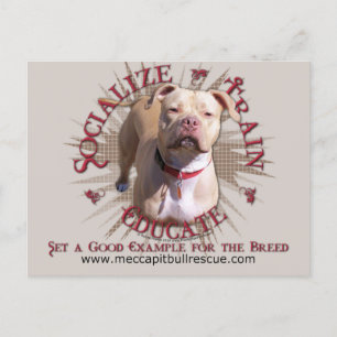 Postal Socialize Train Educate Pitbull
