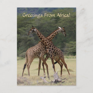 Postal Socios perfectos - Postcard