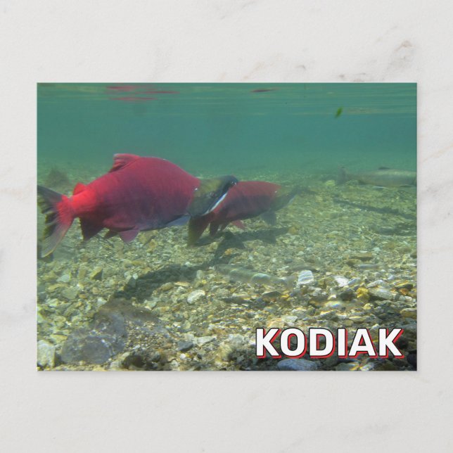 Postal Sockeye Salmon En Kodiak, Alaska (Anverso)