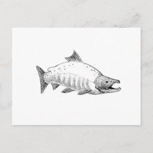 Postal Sockeye Salmon Line Art