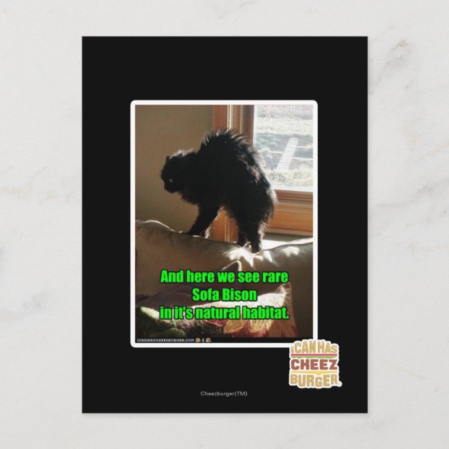 Postal Sofa Bison (Anverso)