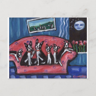 Postal sofá de la familia Boston Terrier