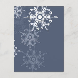 Postal Sofisticados copos de nieve azules/grises