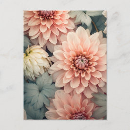 Postal soft colored dahlia flower head