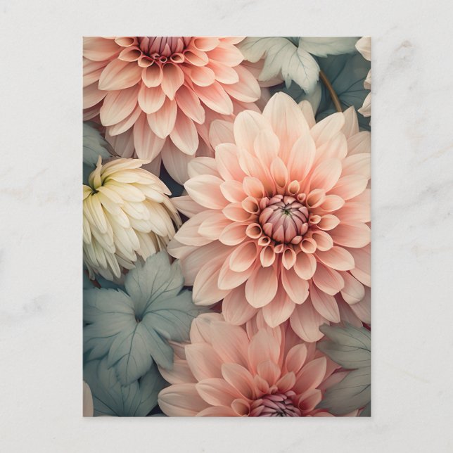 Postal soft colored dahlia flower head (Anverso)