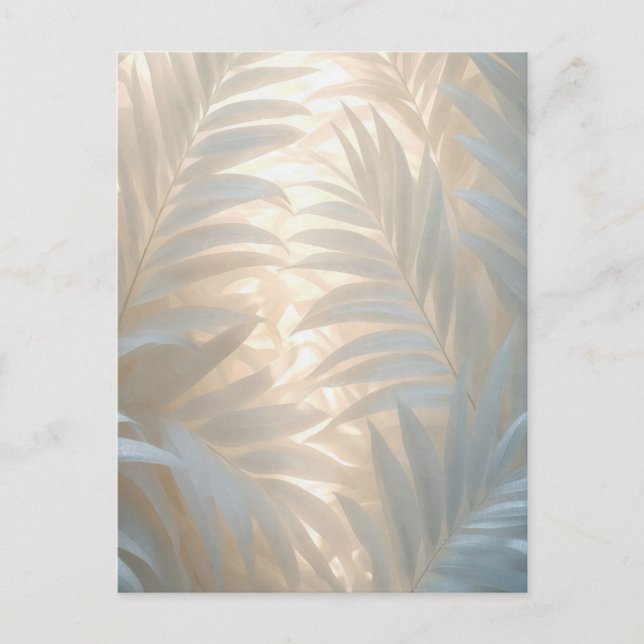 Postal Soft gold of white tropics, pastel palm leaves (Anverso)