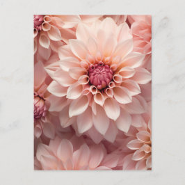 Postal soft pastel colored dahlia flower