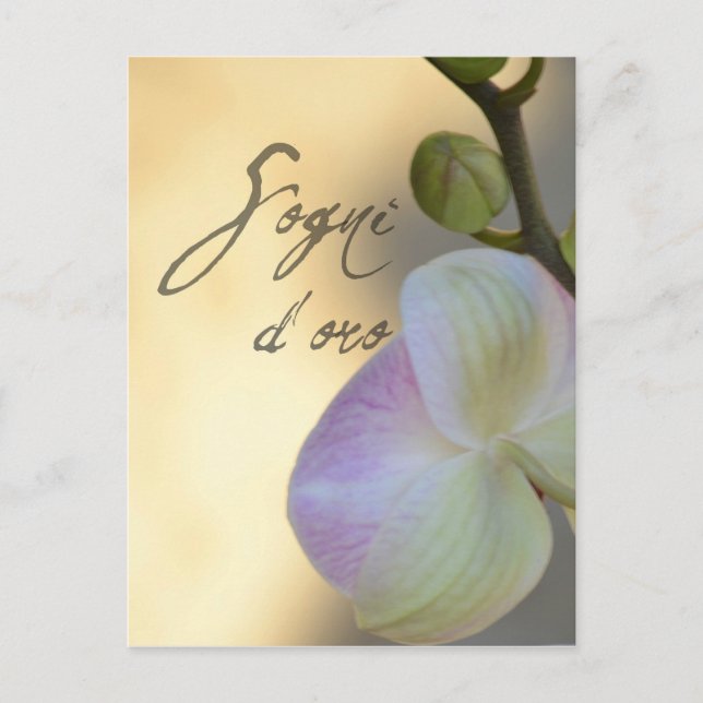 Postal Sogni D'oro (sueños dulces) Orquídea (Anverso)