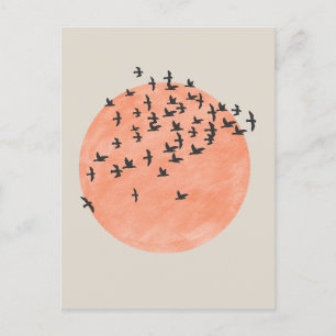 Postal Sol con rebaño de aves
