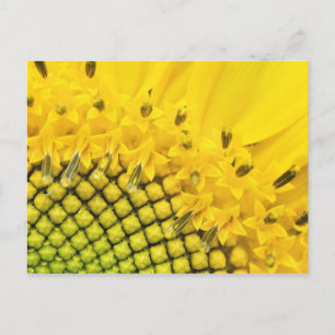 Postal sol de cuarto